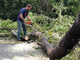 Best Lot and Land Clearing  in Archer City, TX